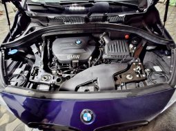 
										BMW 218d full									