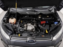
										Ford EcoSport “Model Trend” full									