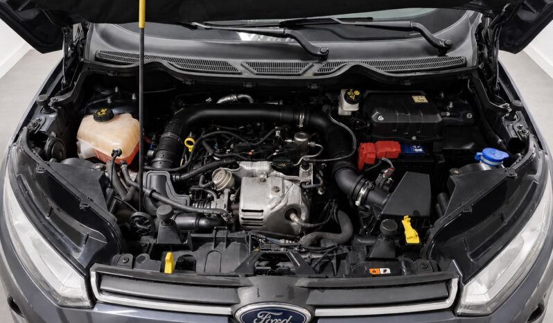 
								Ford EcoSport “Model Trend” full									