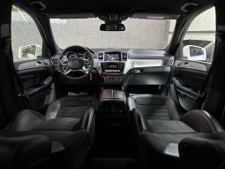 Mercedes-Benz ML250 “Model Sport”