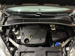 
										Ford Galaxy “Model Trend” full									