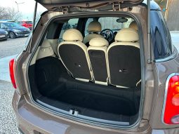 
										Mini Countryman S full									