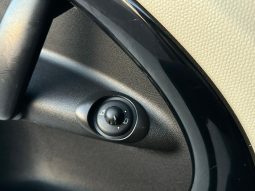 
										Mini Countryman S full									