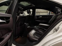 
										Mercedes-Benz CLS250 full									