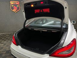 
										Mercedes-Benz CLS250 full									