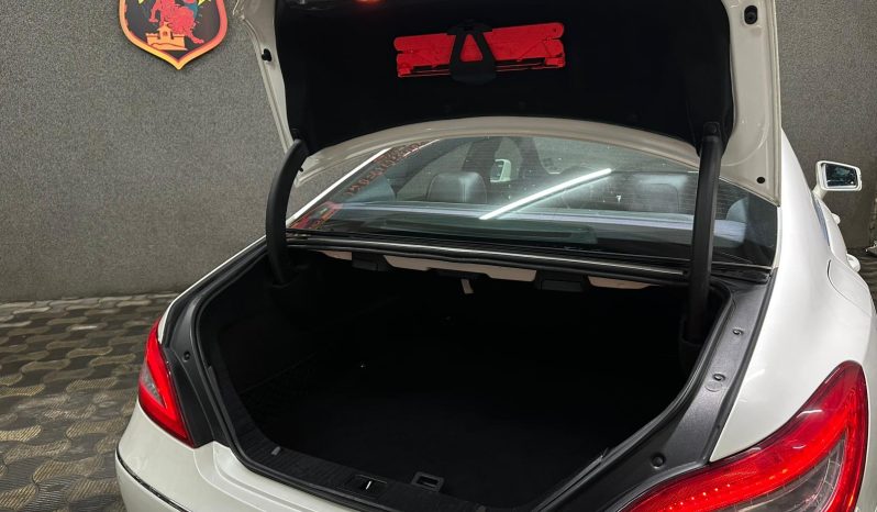 
								Mercedes-Benz CLS250 full									