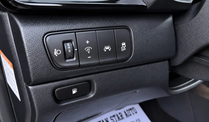 
Kia Niro EcoHybrid full									